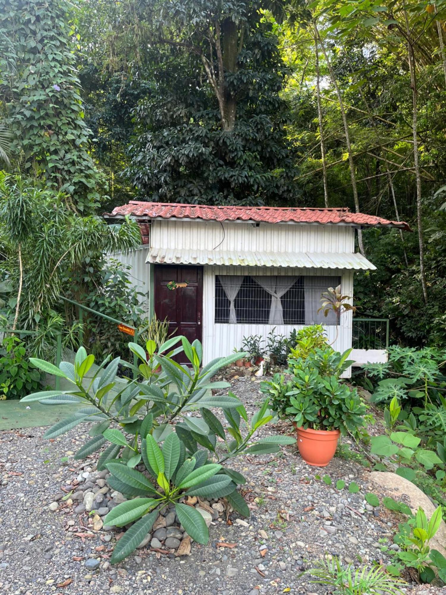 Casa Escondida Apartments Manuel Antonio Exterior foto